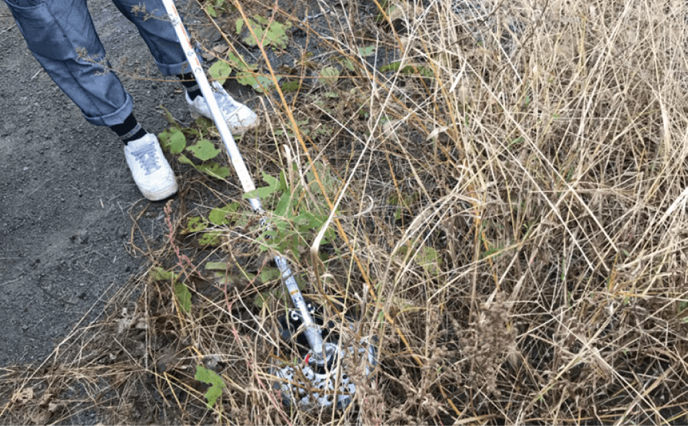除草作業